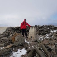 William McLaren (@veeb87) 's Twitter Profile