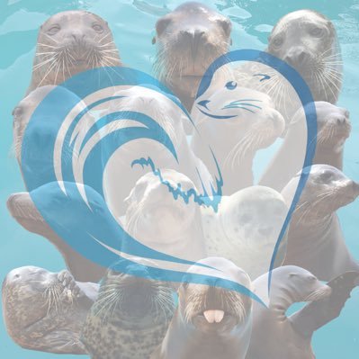 TheOceansTeam's profile picture. Creating passionate connections between animals and humans which inspire conservation awareness.
