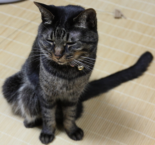 moto_0824's profile picture. ここ最近の楽しみは花火鑑賞とスキューバダイビングです。