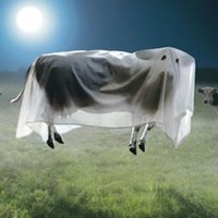 GhostofDevinNunesCow(@CowGhostof) 's Twitter Profileg