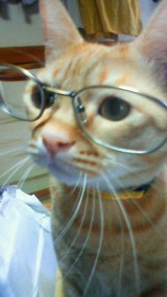 happy1anne's profile picture. 好きなことは生きる糧✨