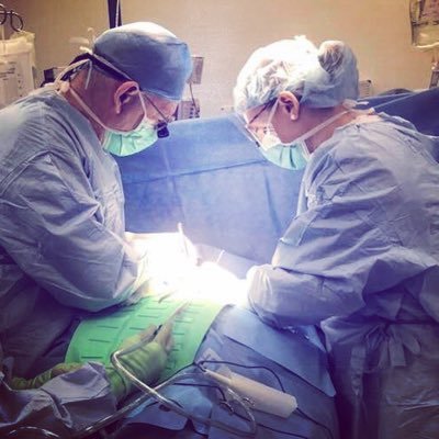 @AmherstCollege, @TuftsMedSchool, @UMassSurgery alumna, general and bariatric surgeon at Southern New Hampshire Health, violinist, Red Sox fan