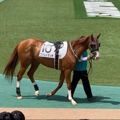 競馬大好きです！負けたら観戦料として潔く勝った馬を見届けます！