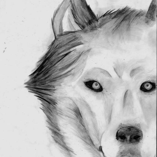 Wolfpicks18's profile picture. Asesor de apuestas deportivas //Picks Fútbol ⚽️, MLB ⚾️, NBA 🏀, NFL 🏈 // DM para información del grupo PREMIUM 💰💰💰