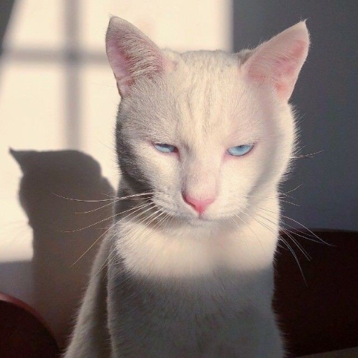 kalalandddddd__'s profile picture. อยู่ไม่ได้แร้วจร้า