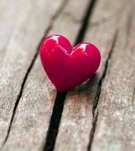 DeshiniKaushal3's profile picture. 