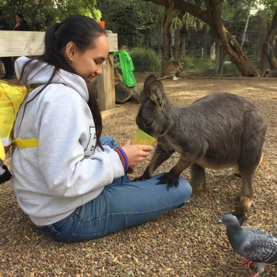 Scouts, guitar, swimming, slurpees and animals, conservation