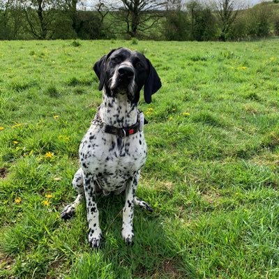 CanderUK's profile picture. Cumbrian, likes Europe. Appalled by: the EU;most politicians and in particular Labour anti semites, Geologist by profession, Blocked by Angela Rayner 😂