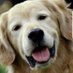serenityfab (@serenityfab1) Twitter profile photo serenityfab (@serenityfab1) Twitter profile photo