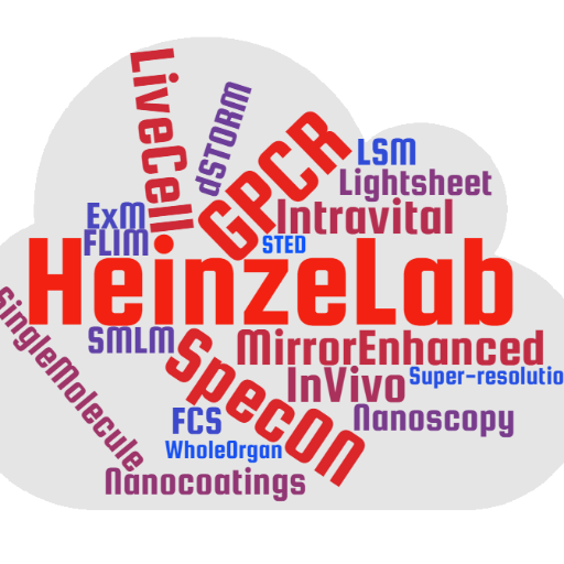 Molecular Microscopy Lab of Prof. Dr. Katrin Heinze @RVZ_Wuerzburg @Uni_Wue /Impressum: https://t.co/LKdNZ6Ek8U #research #SuperResolution #lightsheet