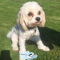 Jo Mcallister ๐ (@max_mcallister8) 's Twitter Profile