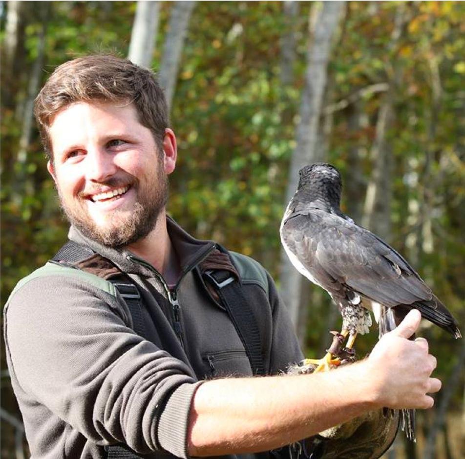 Postdoc in bird sensory ecology. I mostly work on raptor vision, but I am also interested in raptor olfaction. In parallel, I am also a falconer.