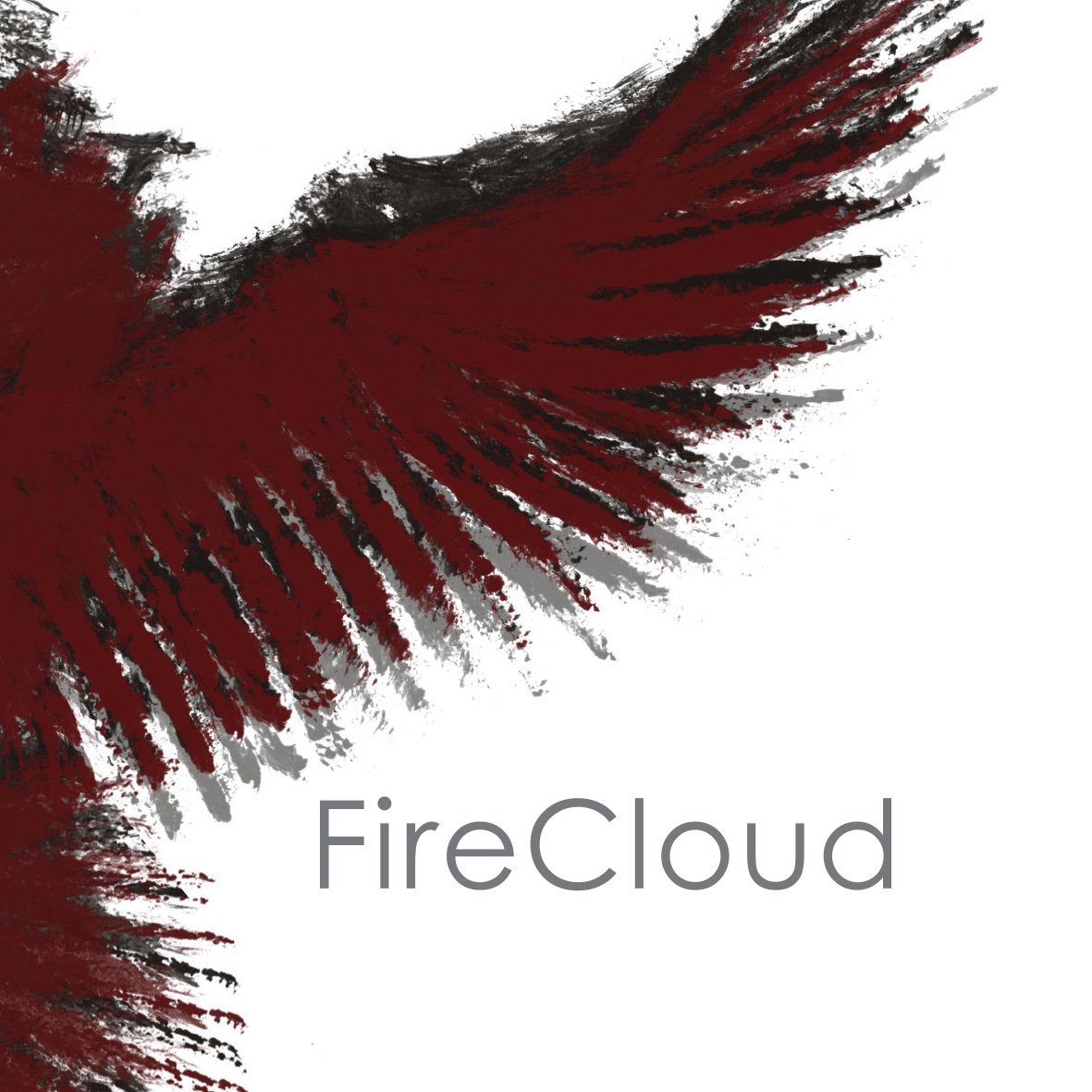 FireCloud is an independent charity that aims to build vibrant communities through faith, education and imagination.