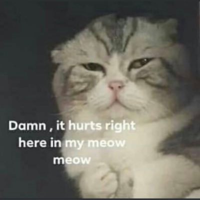 phatsaraaa's profile picture. Aug, 27