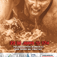 Pinatarius (@pinatarius) 's Twitter Profile