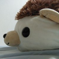 クレアけいこ (@tomorrow12102) 's Twitter Profile