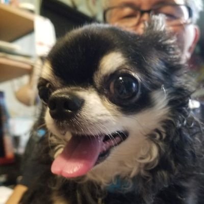 misaka524's profile picture. @Minnku_singのサブ垢。
こっちはほぼROM専なので、メインで何かあった時しかほぼ呟かないです(ノ)・ω・(ヾ)