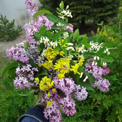 CentEzgi's profile picture. 