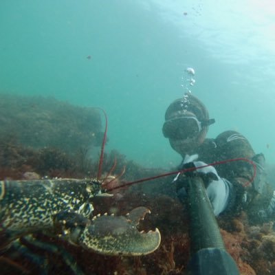 Postdoctoral researcher at @LBCMlab @IUEM_Brest #microbiota 🦠🧫 and #marineinvertebrates 🦞🐚 are a complex #holobionte 🧬🔬#metabarcoding