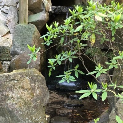 DaisukiRni's profile picture. うつ病を患いながらも、介護福祉士、精神保健福祉士、相談支援専門員の資格をとり、現在、相談支援専門員　兼　管理者として業務を行っております。 今年から来年にかけて社会保険労務士と思春期発達障がい支援アドバイザーを取得しようとしてます。