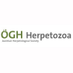 Herpetozoa (@herpetozoa) Twitter profile photo Herpetozoa (@herpetozoa) Twitter profile photo