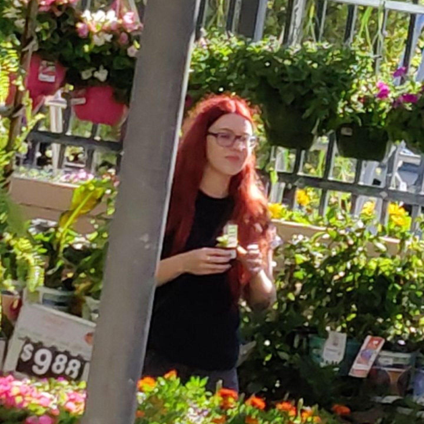 caitlin_abols's profile picture. streamlined for debauchery, hardlined for suffering