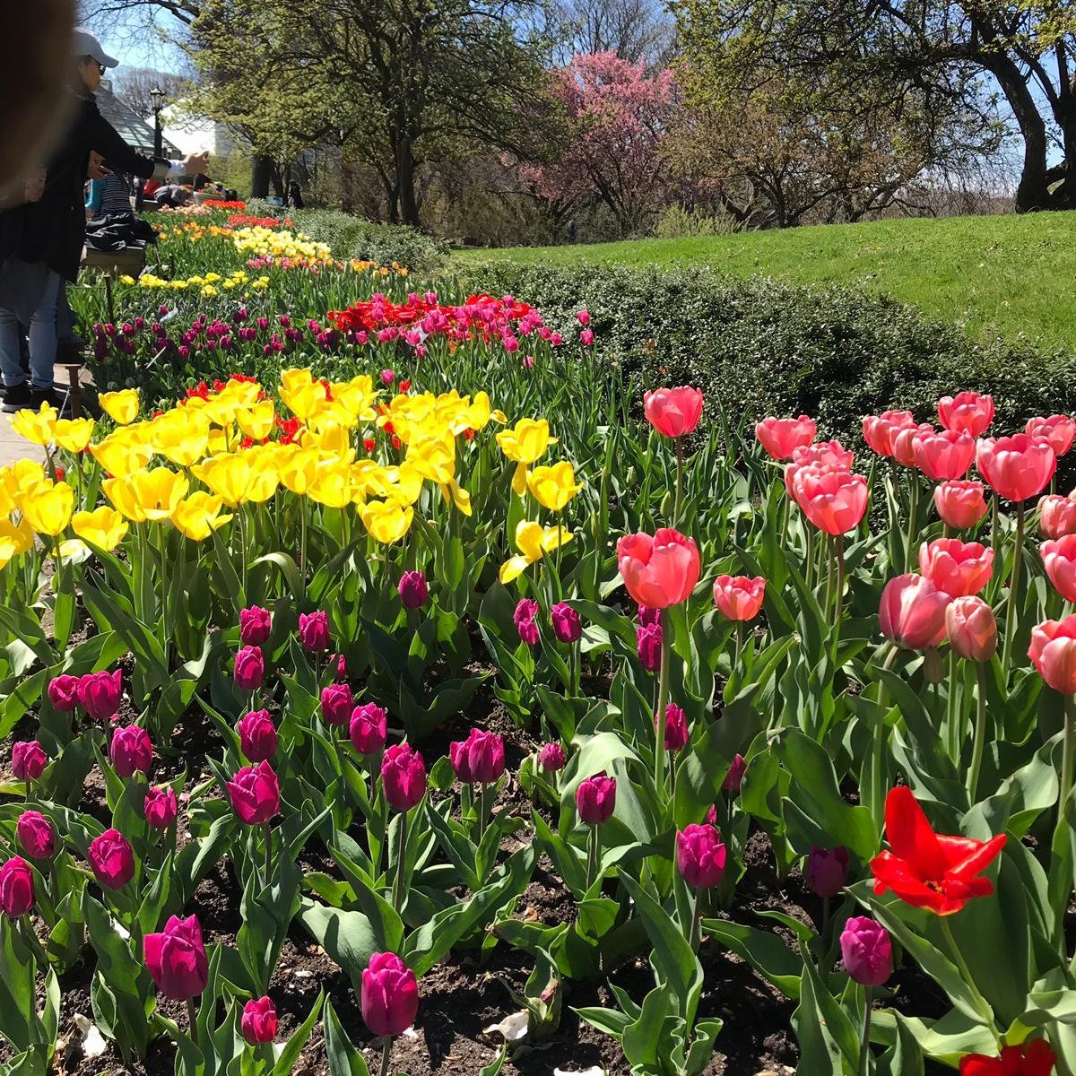 cernyjanahotma1's profile picture. 