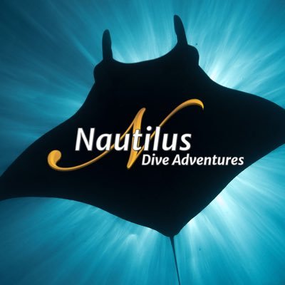 Nautilus Liveaboards specializes in big animal diving with the Giant Mantas of Socorro, the Great White Sharks of Guadalupe, and sharks in the Sea of Cortez.