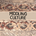 Middling Culture (@MiddlingCulture) Twitter profile photo