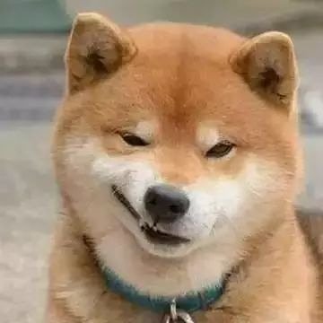 losdephine's profile picture. 代码狗