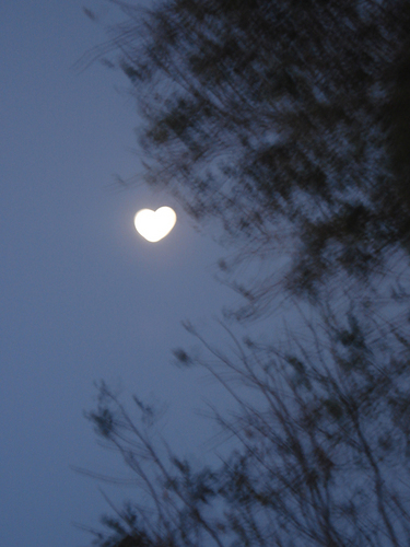 lalombardix's profile picture. 