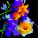 Dara Howell - @jdheatfc - Twitter