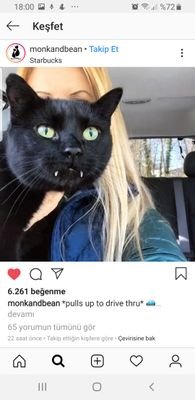 @dilikedi1