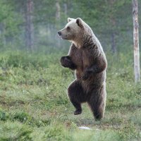 JohnPardus (@pardus_john) 's Twitter Profile Photo JohnPardus (@pardus_john) 's Twitter Profile Photo