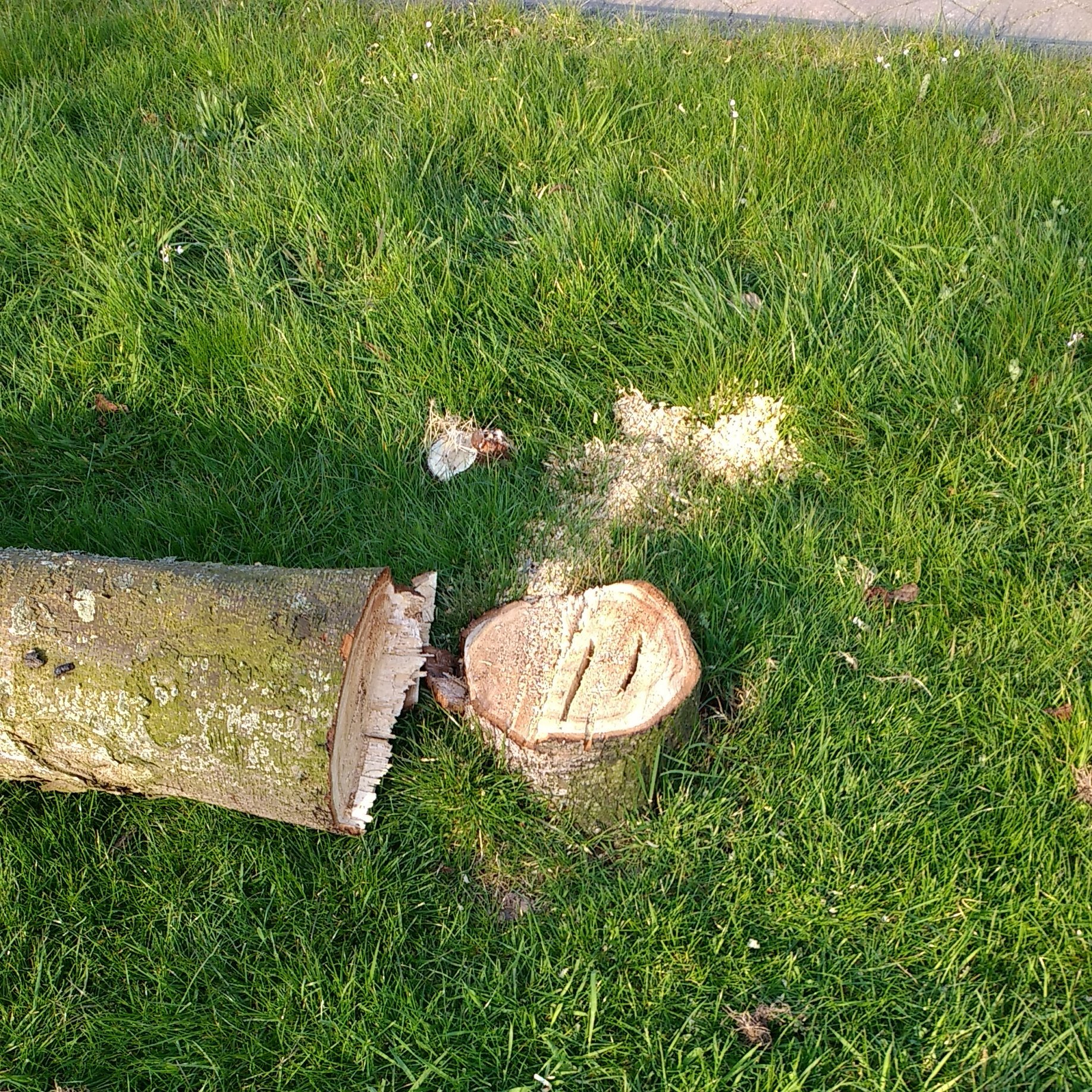 rookoverlast's profile picture. 0513-226064 houtrookoverlast houtrook afvalrook. Vuurkorven, tuinkachels, vuurschalen, vuurtonnen, houtkachels open haarden enzovoorts.
