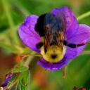 Ellen Engle - @TripleE456 - Twitter