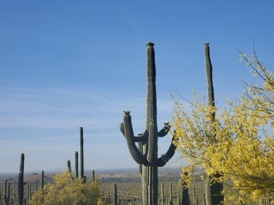 RoddysAdventure's profile picture. IT Consultant