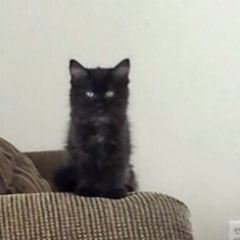 lilaclvnv's profile picture. Instagram: lilaclvnv 🌊 Support Independent Media 🌊