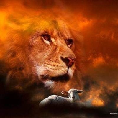 MariusGnekpie's profile picture. Ma franchise