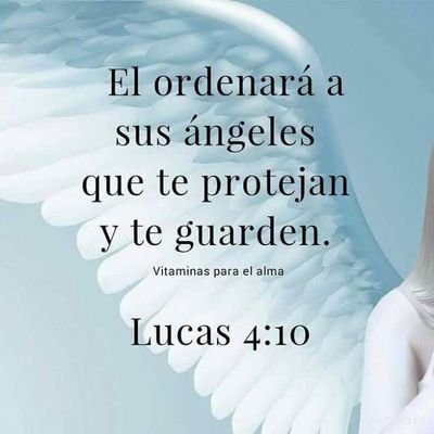 AdaZenaida's profile picture. honesta ,,leal ,,fuerte ante las dificultades..