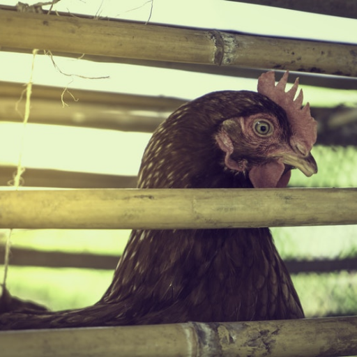 Betheball5's profile picture. 