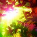 Aisha Taylor-Dees - @AishaTD - Twitter