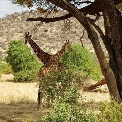 You dreaming hence thinking about your safari / adveture!
We are already prepared for it simply because of the experience and the passion towards the same