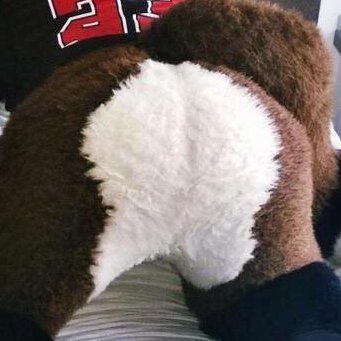 Fursuit Butts!