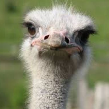 Dan_63's profile picture. 