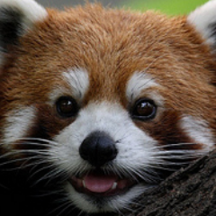 Dimizeee's profile picture. 