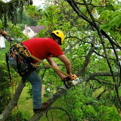 rudd_jarred's profile picture. 