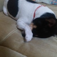 özden (@zden38960778) Twitter profile photo