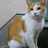 may_umi_713_714's profile image