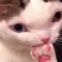 Feral Fetus (@feral_fetus) 's Twitter Profile Photo